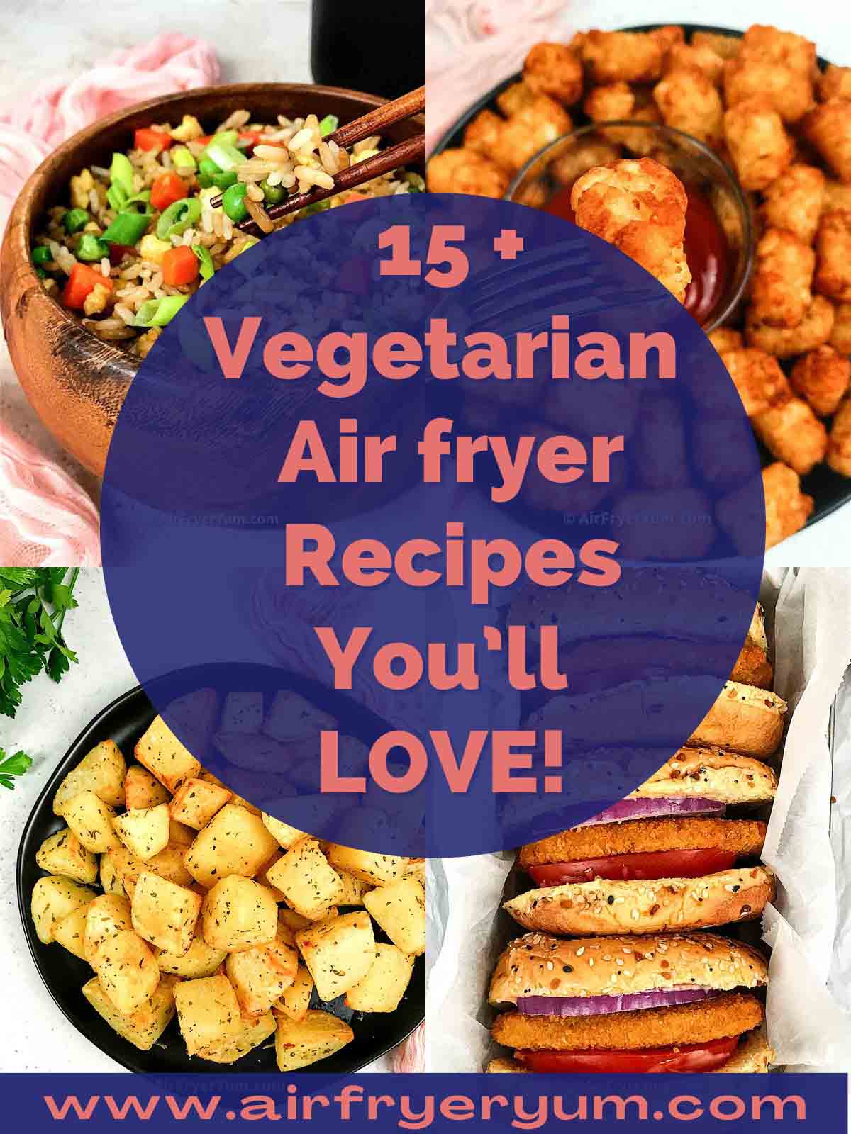 15+ Vegetarian Air fryer Recipes - Air Fryer Yum