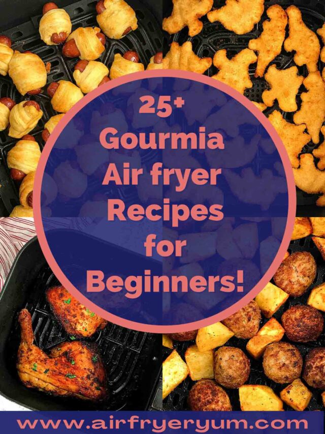 Gourmia Air fryer Recipes Air Fryer Yum