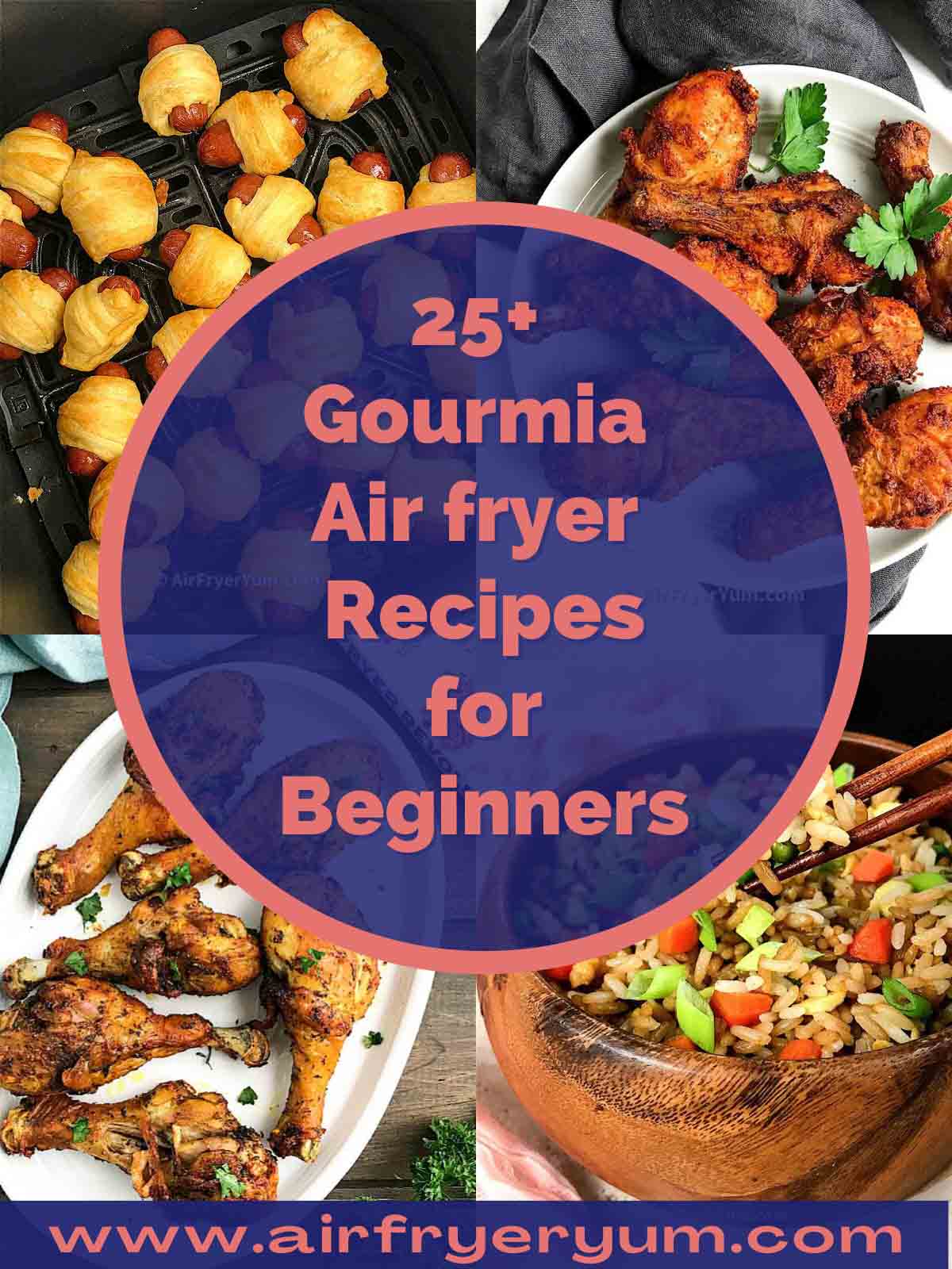 Gourmia Air fryer Recipes - Air Fryer Yum