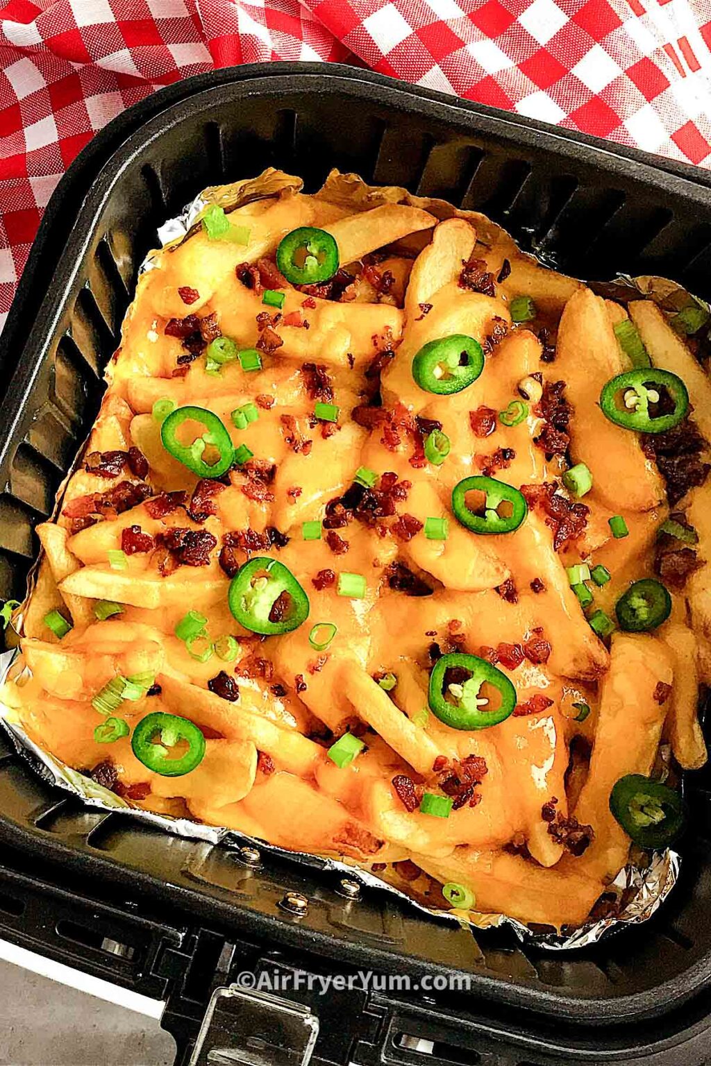 Air fryer Loaded fries Air Fryer Yum